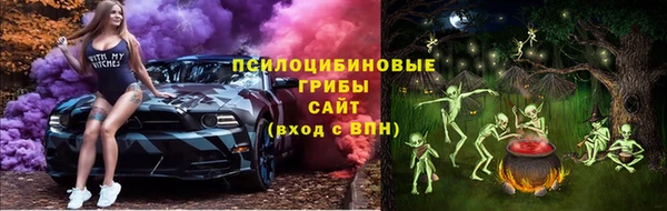 первитин Лиски